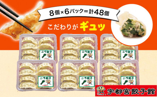 
「宇都宮餃子館」のニラ餃子 8個入り×6パック(計48個)
