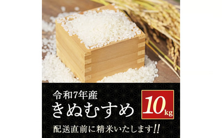 【新米】【在庫限定】令和7年産米 きぬむすめ 10kg （大上農園）数量限定 新米 米 白米 きぬむすめ