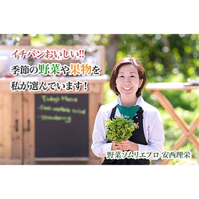 【毎月定期便】【中旬発送】こだわりの旬野菜BOX「リエビン」季節の野菜セット全6回【配送不可地域：離島・沖縄】【4012343】