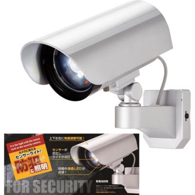 ふるさと納税 小野市 大進 カメラに見えるセンサーライト DLB-K500 防犯ライト ソーラーライト 防雨 屋外 人感