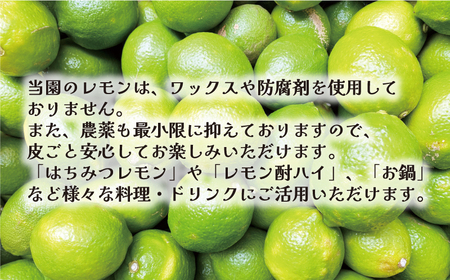 訳あり レモン 2.5kg 5000円 柑橘 サイズ 不揃い 家庭用 檸檬 国産 れもん フルーツ 果物 果実 産地直送 農家直送 数量限定 期間限定 特産品 瀬戸内 ワックス 防腐剤 不使用 果汁 