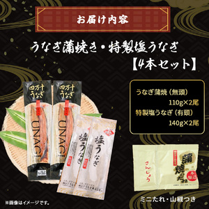 四万十うなぎ 蒲焼き 塩うなぎセット ( 110g×2尾 140g×2尾 ) うなぎ 国産鰻 土用の丑の日 ／Esu-120