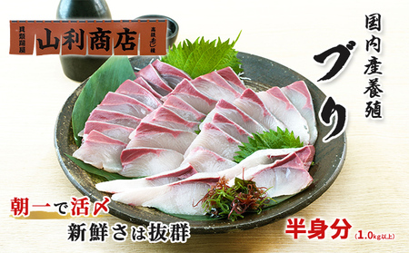 ブリ 千葉市場直送 活〆 スキンレスロイン 刺身用 ブリ【半身分】【冷蔵】
