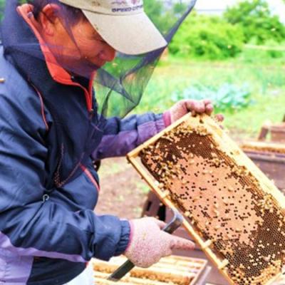 ふるさと納税 小郡市 はちみつ 国産 天然 純はちみつ 370g×3種 アソート 花こよみセット[No5354-0316] |  | 03