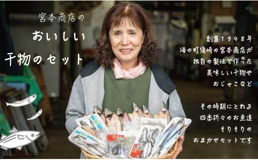 干物 旬の おまかせ 詰め合わせ セット 須崎 高知 冷凍 ひもの  【 産地 直送 】 おまかせ 各種 沖うるめ ニロギ イワシ丸干し カマス丸干し ヤケド ハダカイワシ ヒメイチ きびなご メヒカ