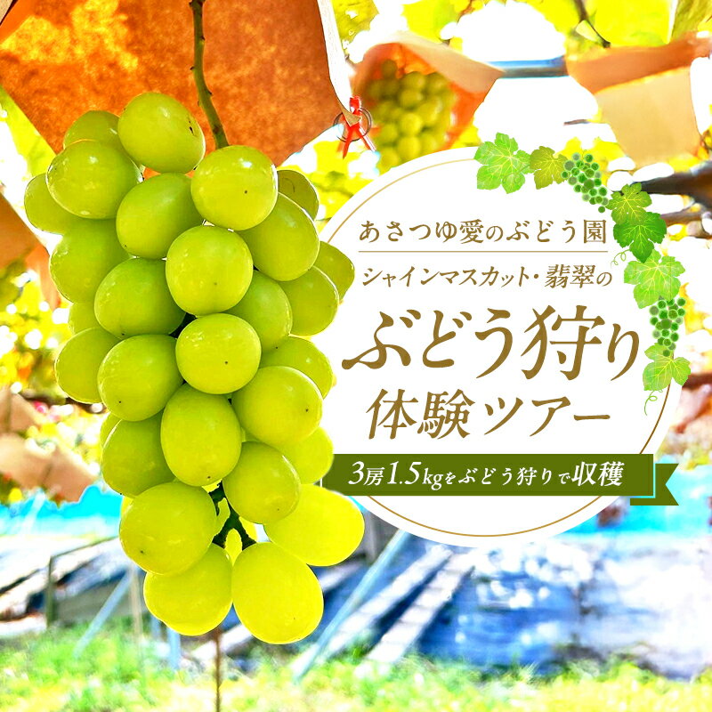 【ふるさと納税】【先行予約・数量限定】人気の体験型返礼品2026年夏秋体験【 あさつゆ愛のぶどう園 シャインマスカット 翡翠 ぶどう狩り 体験ツアー 3房 1.5kg 】葡萄 体験チケット家族 大阪 大阪府 岸和田市　お届け：2026年7月上旬～10月上旬まで