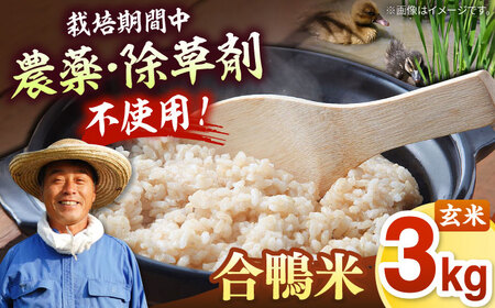  [栽培期間中 農薬不使用 ] 【令和7年産 】古野農場の 合鴨農法 で作った「 合鴨米 （ 玄米 ） 3kg」 桂川町/合鴨家族 古野農場 [ADAL011] 合鴨米 米 白米 お米 無農薬米 支援 支援品