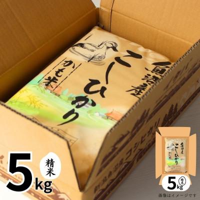ふるさと納税 十日町市 【令和6年産】魚沼産コシヒカリかも米(精米)5kg |  | 01