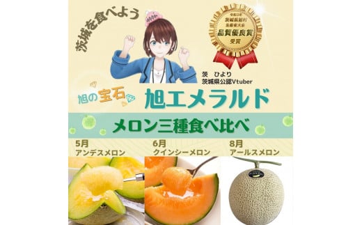 【3回お届け便】3種食べ比べ　旭メロン（アンデス・クインシー・アールス）