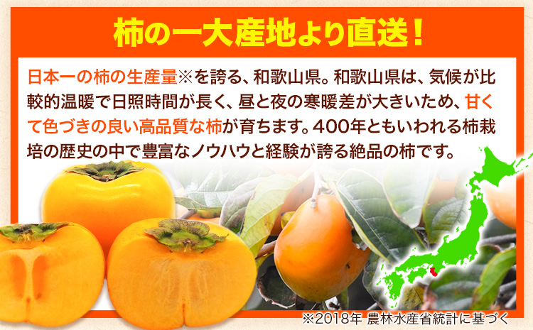 【ご家庭用/訳あり】たねなし柿 約1.5kg《2026年9月中旬-11月上旬頃より出荷予定》 和歌山県 紀の川市 柿 カキ かき ジューシー フルーツ---wfn_wlocal62_9c11j_25_
