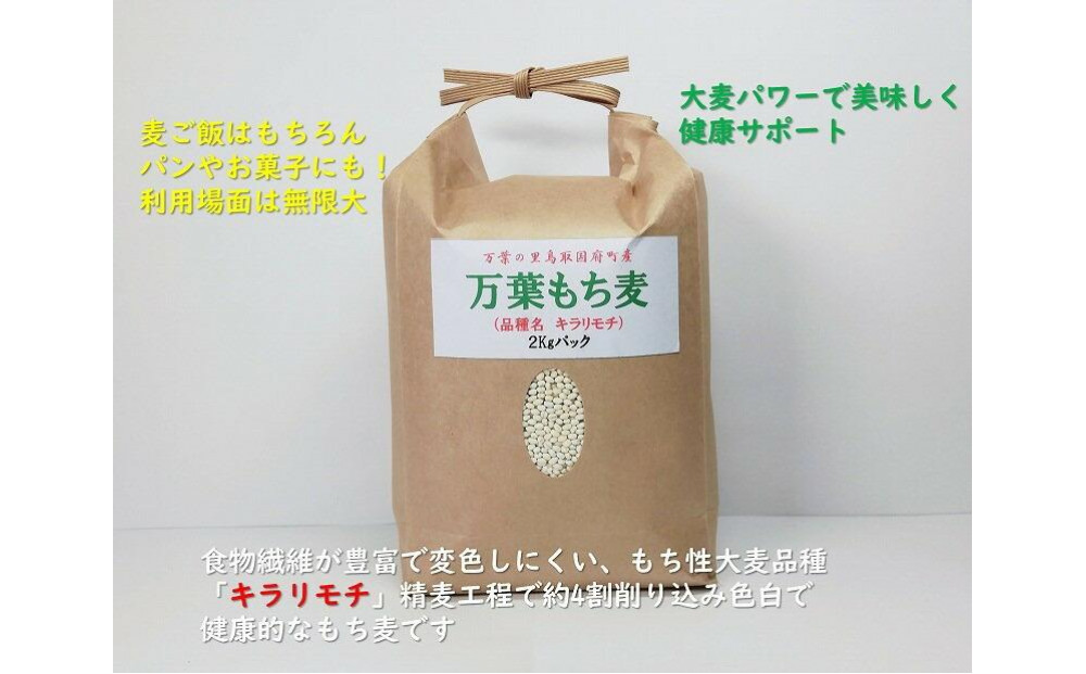 万葉の里鳥取市国府町産「万葉もち麦」2kg 312011_CX001