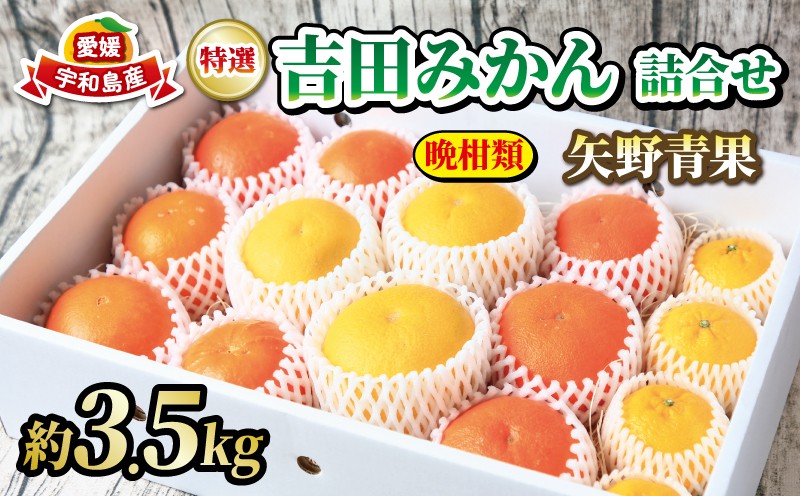 
                  みかん 詰合せ 晩柑 約 3.5kg 贈答用 特選 吉田みかん 矢野青果 秀品 贈答品 ギフト プレゼント 高級 ネット掛け 柑橘詰め合わせ みかん詰合せ セット 蜜柑 ギフト プレゼント 果物 くだもの フルーツ 産地直送 数量限定 国産 愛媛 宇和島 B018-171038
                