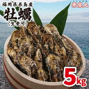 【ふるさと納税】福吉の牡蠣 5kg 殻付き 生食用 (簡易ナイフ付き) 牡蛎 カキ 糸島市 / 飛龍丸 [AZB003]