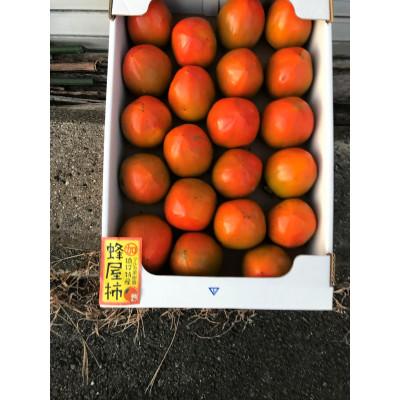 ふるさと納税 豊田市 【先行受付】蜂屋柿　約6kg 【2026年10月中旬以降順次発送】 |  | 01