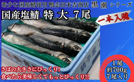 国産塩鯖 特大サイズ ７尾 約4kg 冷凍 銚子 さば サバ 鯖 国産 塩 美味しい 国産鯖 青魚 塩鯖 新鮮 海鮮 バーベキュー さば サバ 鯖 塩鯖 塩さば 千葉県 銚子市 さば サバ 鯖 塩鯖 塩さば さば サバ 鯖 塩鯖 塩さば さば サバ 鯖 さば サバ 鯖 さば サバ 鯖 さば サバ 鯖 さば サバ 鯖 さば サバ 鯖 さば サバ 