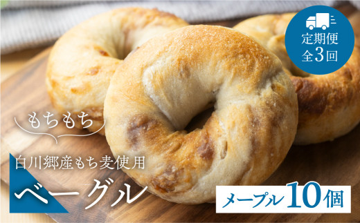 定期便 全3回 白川郷産 もち麦使用 ベーグル（メープル）10個セット 36000円 [S789]
