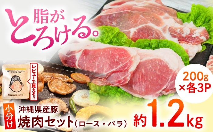 焼肉セット ロース バラ 豚バラ 豚ロース スライス 焼き肉 小分け 豚肉 焼肉 国産 焼肉 焼肉 焼肉用 セット