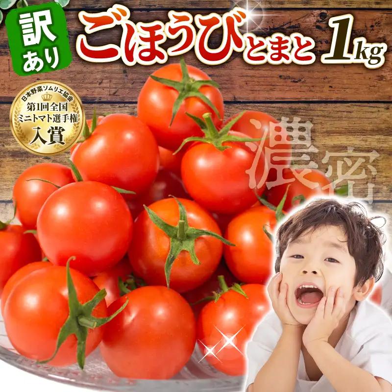 先行予約 訳あり トマト ごほうびとまと 1kg トマト