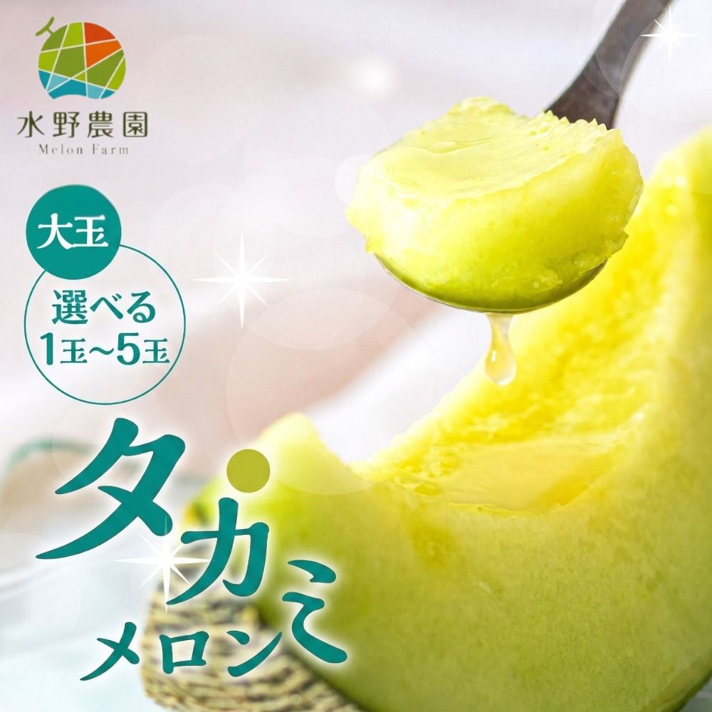 【ふるさと納税】 先行予約 タカミメロン 大玉1玉 ? 5玉 水野農園 | 2027年7月初中旬以降順次発送 メロン めろん 先行受付 フルーツ 果物 お中元 お取り寄せ ギフト 渥美半島 田原市 産地直送 送料無料 メロン 糖度 メロン 青肉 ド甘い 暑さ 対策 暑さ対策