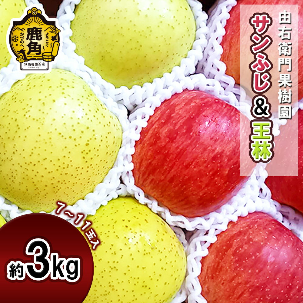 【ふるさと納税】 《 先行予約 》 由右衛門果樹園 りんご 「 サンふじ & 王林 」 約3kg ( 7～11玉入 ) 食感 果汁 リンゴ 完熟 お中元 お歳暮 贈り物 お見舞い グルメ ギフト 故郷 秋田 あきた 鹿角市 鹿角 りんご 送料無料 【由右衛門果樹園】●2025年11月下旬発送開始