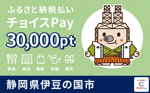 
伊豆の国市チョイスPay 30,000pt（1pt＝1円）【会員限定のお礼の品】
