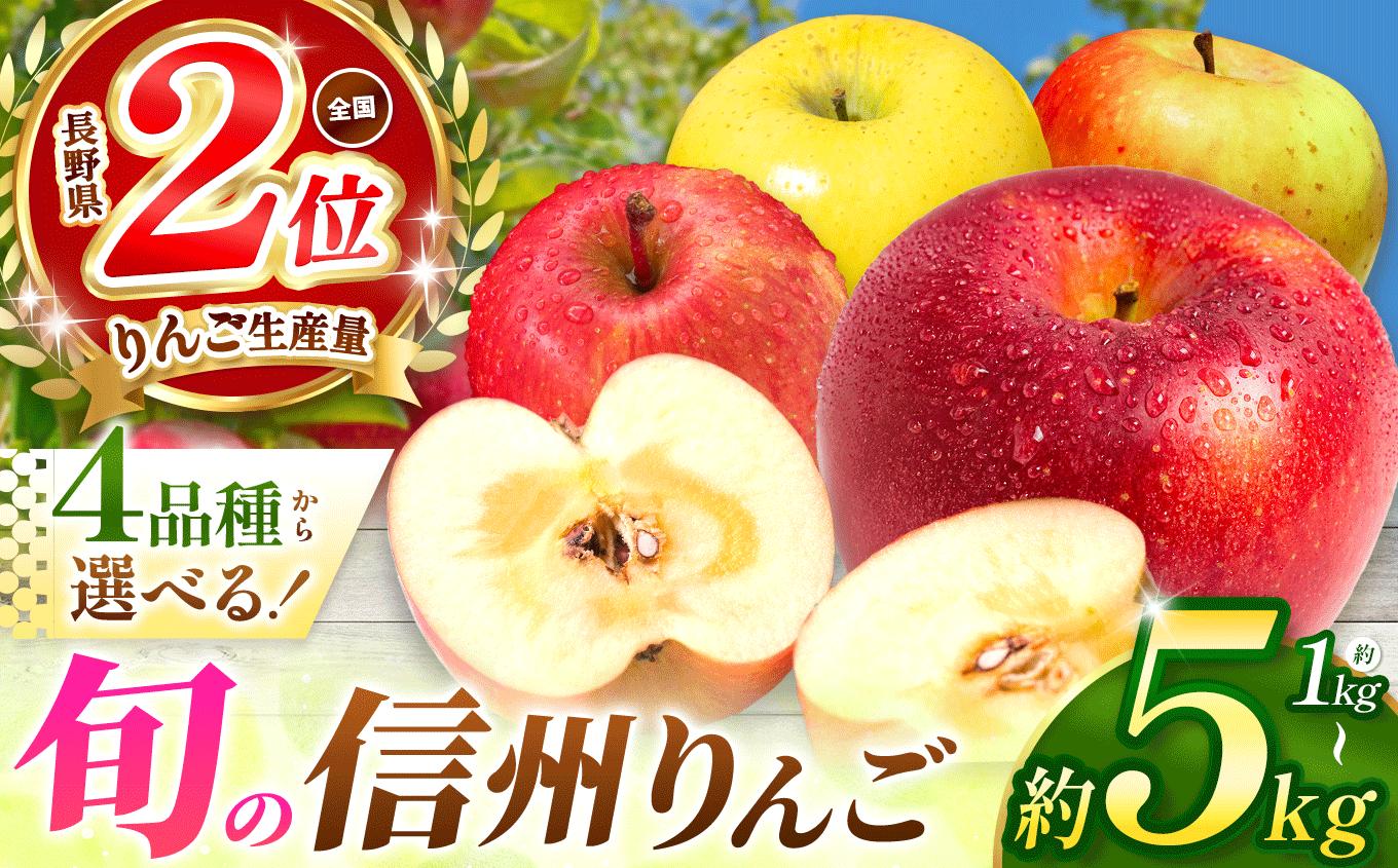 
            新鮮 旬 林檎 選べる品種！信州産 りんご（単品 or セット）【 9月上旬 頃から 順次発送 】 | りんご アップル apple 果物 くだもの フルーツ 林檎 リンゴ シナノゴールド シナノスイート ぐんま名月 サンふじ お好み 信州産 長野県 塩尻市
          