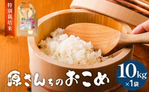 《先行予約》令和7年度産 原さんちのお米 10kg ひとめぼれ 特別栽培米 原農園 有機栽培 化学肥料不使用 アートテン農法 抗酸化農法 完熟堆肥 有効微生物農法 産直 お米 栄養価 体に良い おいしい 安心 田植え 収穫