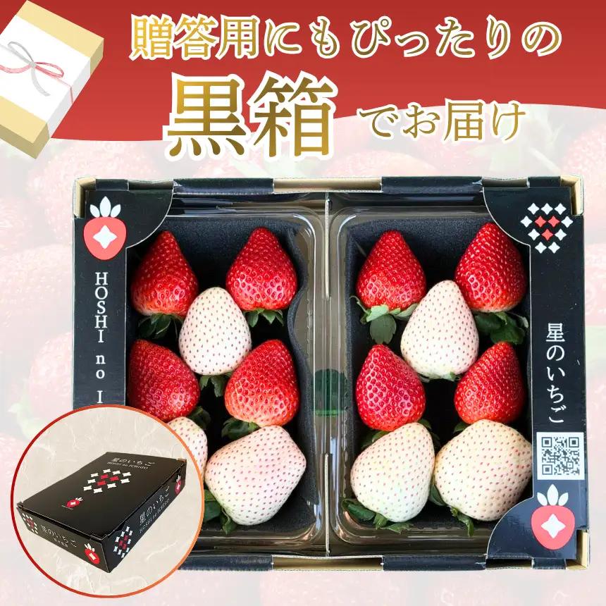 【ふるさと納税】【先行予約】紅白いちご300g×2 | 栃木県 下野市