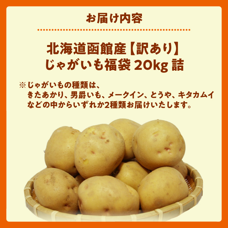 北海道函館産【訳あり】じゃがいも福袋 20kg 詰_HD206-003
