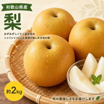 紀州和歌山産の梨　約2kg　化粧箱入【配送不可地域：離島・北海道・沖縄県】