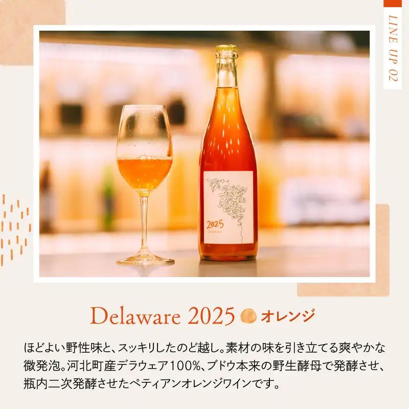 ワイン 2025 オレンジ白 2本飲み比べセット 各750ml ワイン