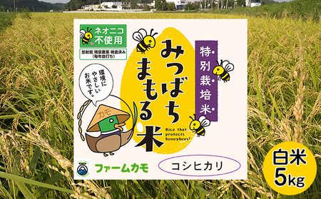 【2025年10月上旬より順次発送】雄踏ファームカモ産「特選みつばちまもる米」白米5kg コシヒカリ  お米 コメ ご飯 ライス 特別栽培米 検査米 1等米 甘い おすすめ おにぎり おむすび 静岡 浜松