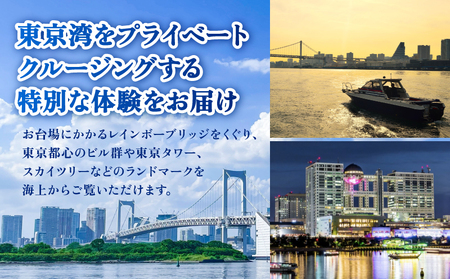 小型クルーザー貸切　東京ベイエリア クルージング体験（3名様　60分） │ 東京 体験 クルーズ