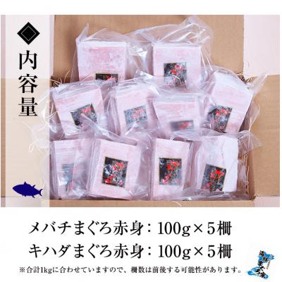 ふるさと納税 いちき串木野市 天然メバチマグロ・キハダマグロ各赤身 100g×5計約1kg |  | 02