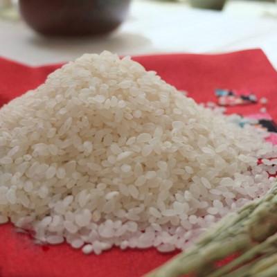 ふるさと納税 大和高田市 【令和7年産】奈良県産 あきたこまち 精米 10kg ( 5kg×2 ) |  | 01