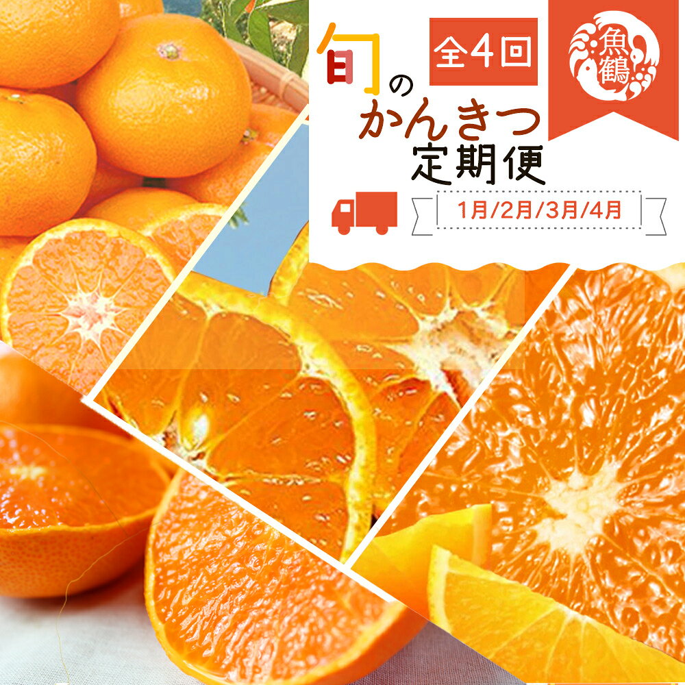 【ふるさと納税】【4か月定期便】旬の柑橘定期便 / みかん ミカン 柑橘 オレンジ 果物 くだもの フルーツ フルーツ定期便 和歌山【tkb416】