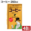 【ふるさと納税】コーヒー 250ml 計48本 コーヒー牛乳 カフェオレ 珈琲 らくのうマザーズ 薫るエスプレッソ ドリンク 紙パック 熊本県産 国産 九州 熊本県 菊池市 送料無料