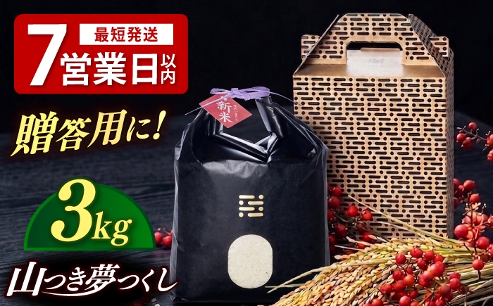 
                  農薬 を使わずに育てた 山つき 夢つくし 3kg itoshimacco《築上町》【株式会社やました】 [ABEX009]
                
