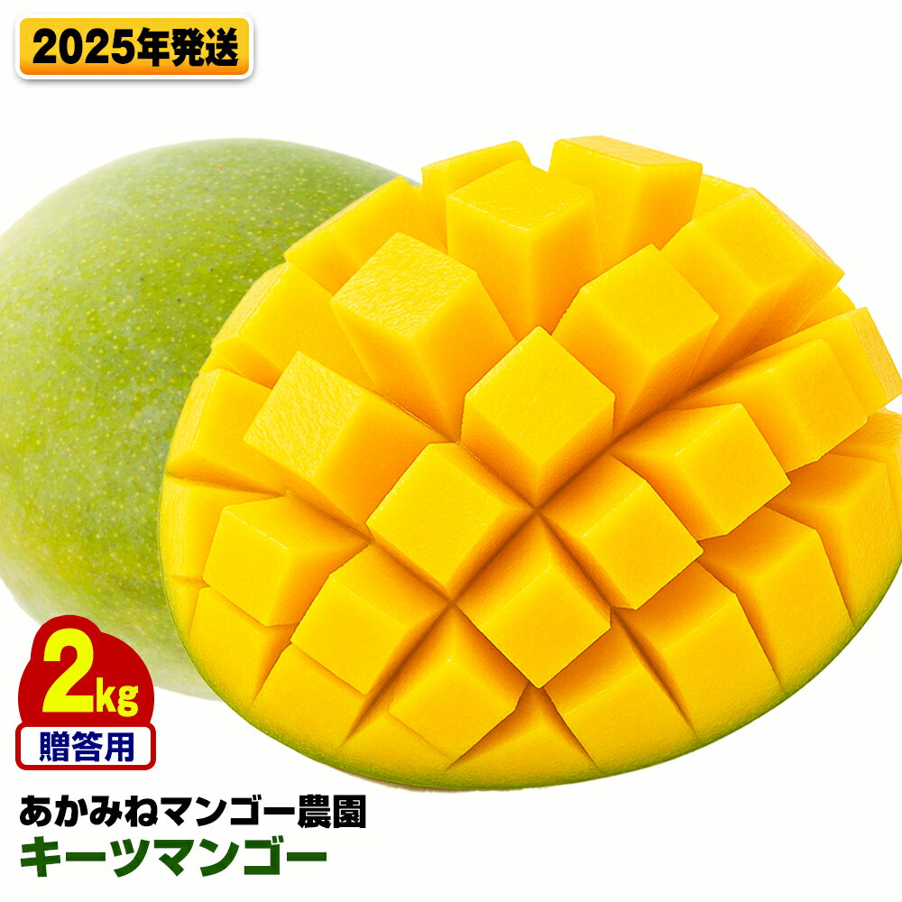 【ふるさと納税】【2025年発送】あかみねマンゴー農園　贈答用キーツマンゴー2kg