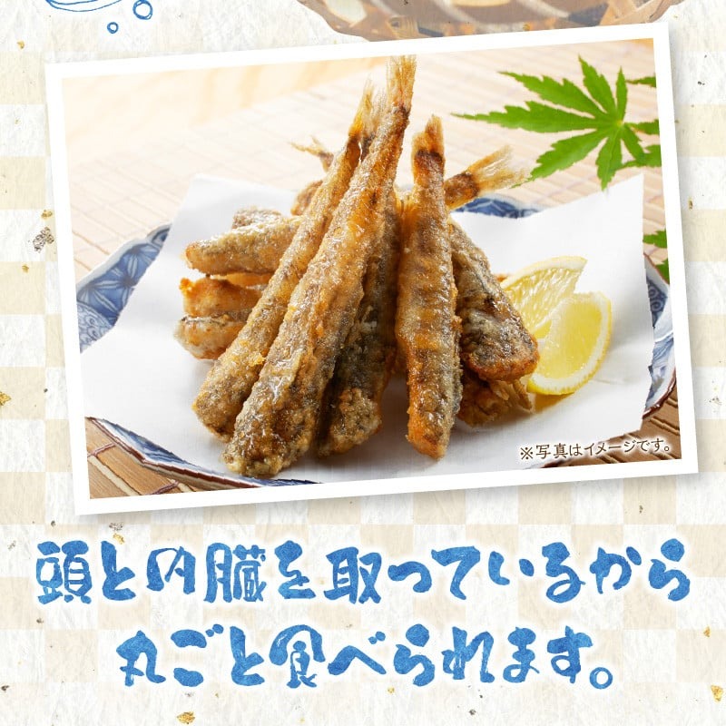 延岡産めひかり無頭大サイズ500g×2袋 N0184-YA178