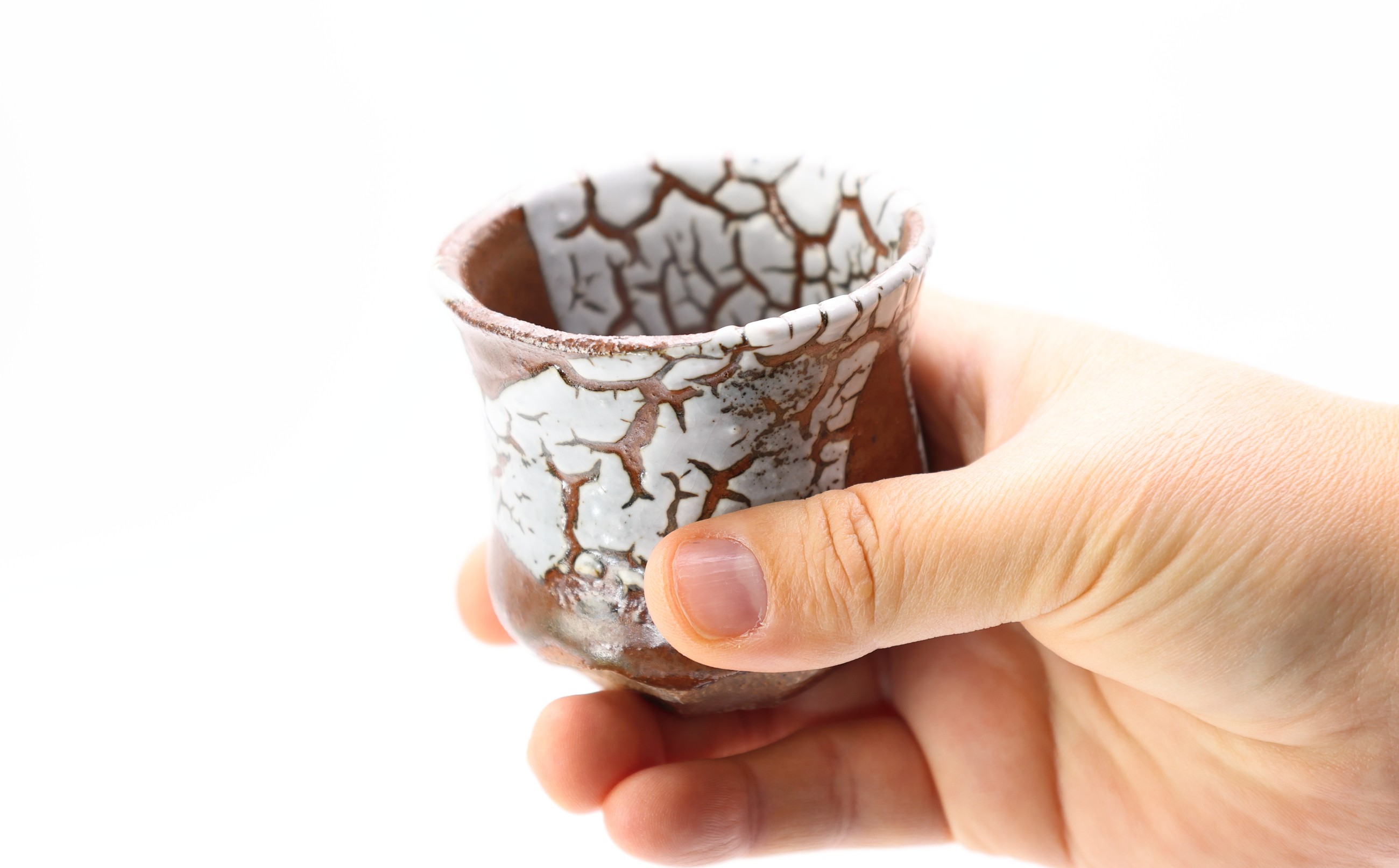 佐志山窯 蛇蝎唐津ぐい呑