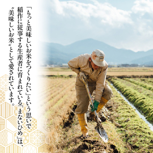 定期便 まないひめ 5kg 6ヶ月定期便 京都府与謝野町産 コシヒカリ 特別栽培米 特A 特A評価 米 お米 ご飯 白米 6回定期便 京都 与謝野