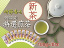 【ふるさと納税】新茶 静岡川根茶　特選新茶100g×10本