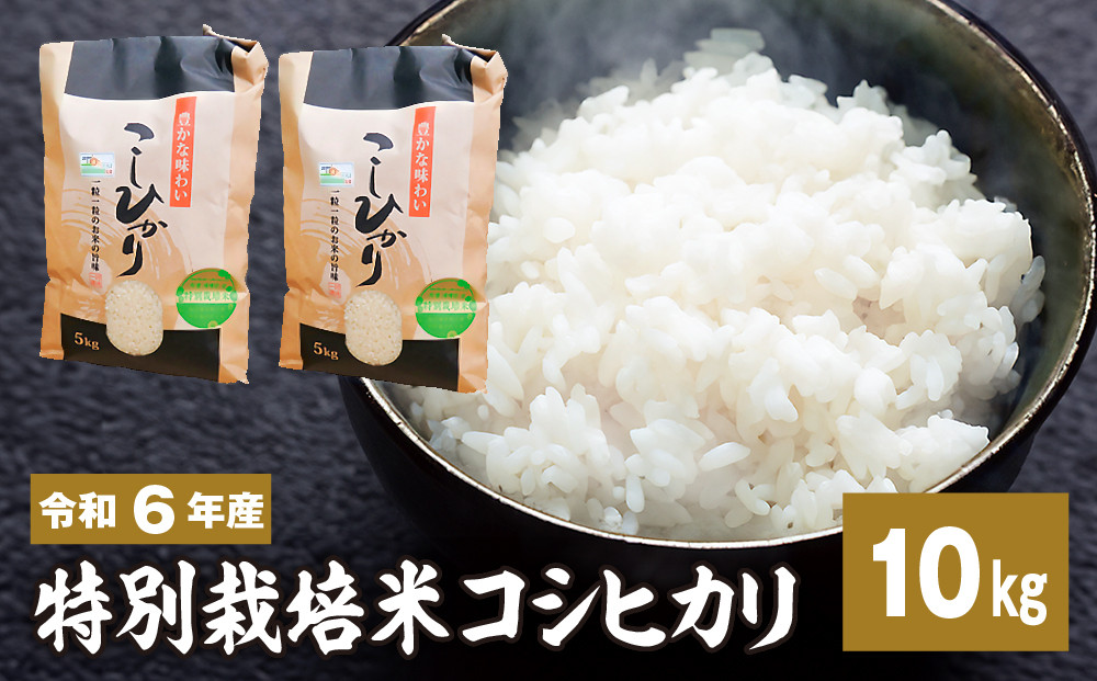 
新米【令和六年産特別栽培米】 コシヒカリ 10kg 新米 米 お米 コメ こめ 精米 ライス 白米 炭水化物 ご飯 主食 食卓 おにぎり お弁当 茨城県産
