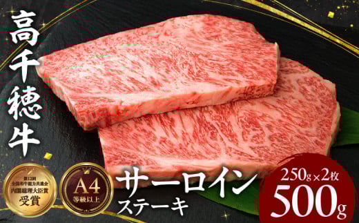 宮崎県産黒毛和牛A4等級以上 高千穂牛サーロインステーキ 250g×2枚 計500g|  牛肉 肉 お肉 サーロイン ステーキ ステーキ肉 ブランド牛 和牛 国産牛 国産黒毛和牛 贈り物 贈答 ギフト