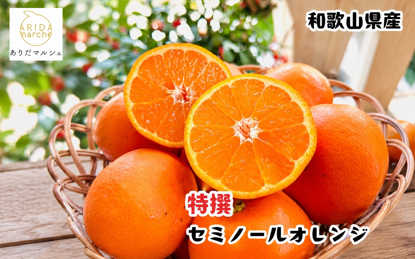  特選 セミノールオレンジ 1.5kg+200g(補償分)　【2027年4月上旬～5月下旬頃に順次発送予定】【ard264】 