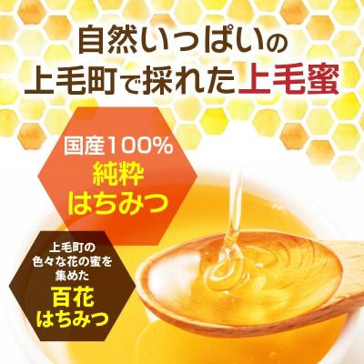 ふるさと納税 上毛町 国産はちみつ(上毛町産)230g×2本 |  | 01