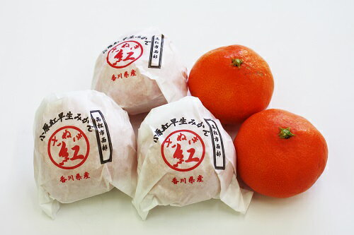 【ふるさと納税】『越冬小原紅早生みかん』約3kg【予約受付中！令和8年1月中旬より発送！】〔提供：株式会社ことひら街道〕しあわせ製麺 濃厚 甘い 紅い 香川オリジナル 希少