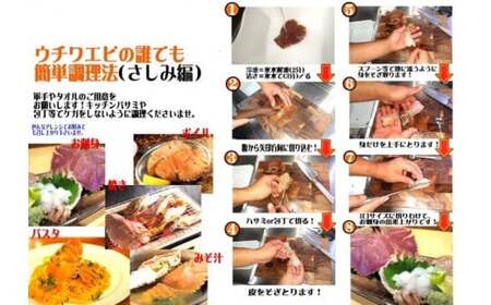 【ふるさと納税】ウチワエビ(小) 天然ほんまもん！ 500g(6~7匹前後) 国産 東洋町産 天然 新鮮 海鮮 刺身 焼き ボイル 四国 お取り寄せ お祝い 記念日 贈り物 送料無料 [S243] 【