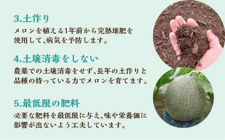 【先行予約】2027年7月お届け  タカミメロン 2玉 水野農園 メロン